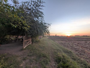 Real Homestay